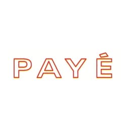 Stamp Shiny Pre-Inked "PAYE" - Image 2