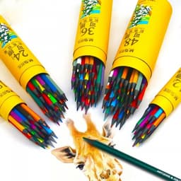 Colored Pencil M&G Erasable 12/Tube Awpq0506 - Image 6