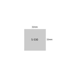 Stamp Shiny S-530 32X32 Mm - Image 2
