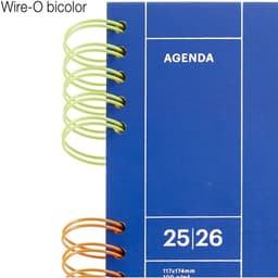 Diary 202-2026 Mr Activa Blue - Image 5