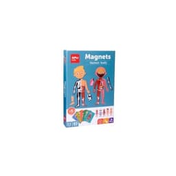 Magnets The Human Body 63/Pack - Apli - Image 1