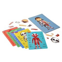 Magnets The Human Body 63/Pack - Apli - Image 2