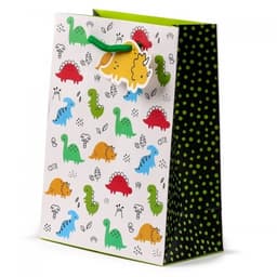Gift Bag Medium Dinosauria Jr Gbag92B - Image 4