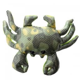 Sand Animals Sea Small Ch11X - Image 5