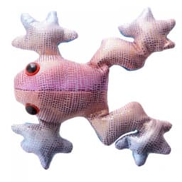 Sand Animals Sea Small Ch11X - Image 8