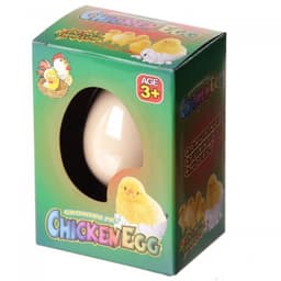 Hatching Egg Chicken Ty106 - Image 2