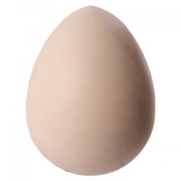 Hatching Egg Chicken Ty106 - Image 4