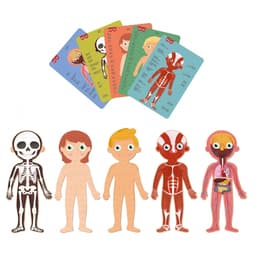 Puzzle Human Body 240/Pack - Apli - Image 4