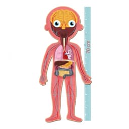 Puzzle Human Body 240/Pack - Apli - Image 5