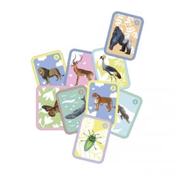 Families Card Games - Apli - Image 2