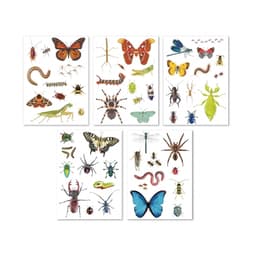 Insects Sticker Realistic - Apli - Image 2