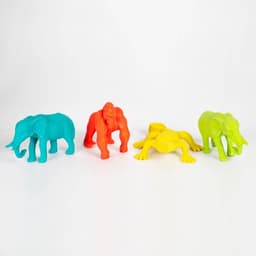 Eraser  Jungle - Apli - Image 1