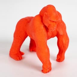 Eraser  Jungle - Apli - Image 3