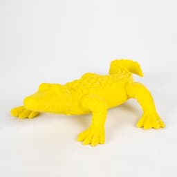 Eraser  Jungle - Apli - Image 5