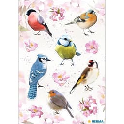 Home Birds - Sticker Herma - Image 2