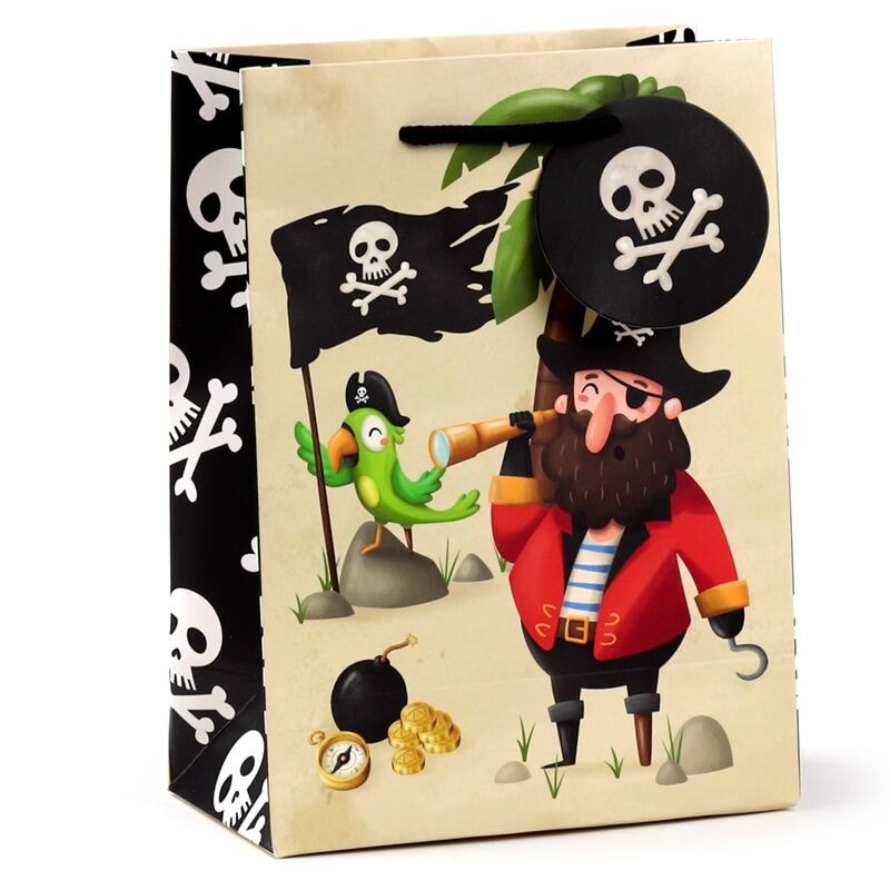 Gift Bag Jolly Rogers Pirates Medium Gbag113B