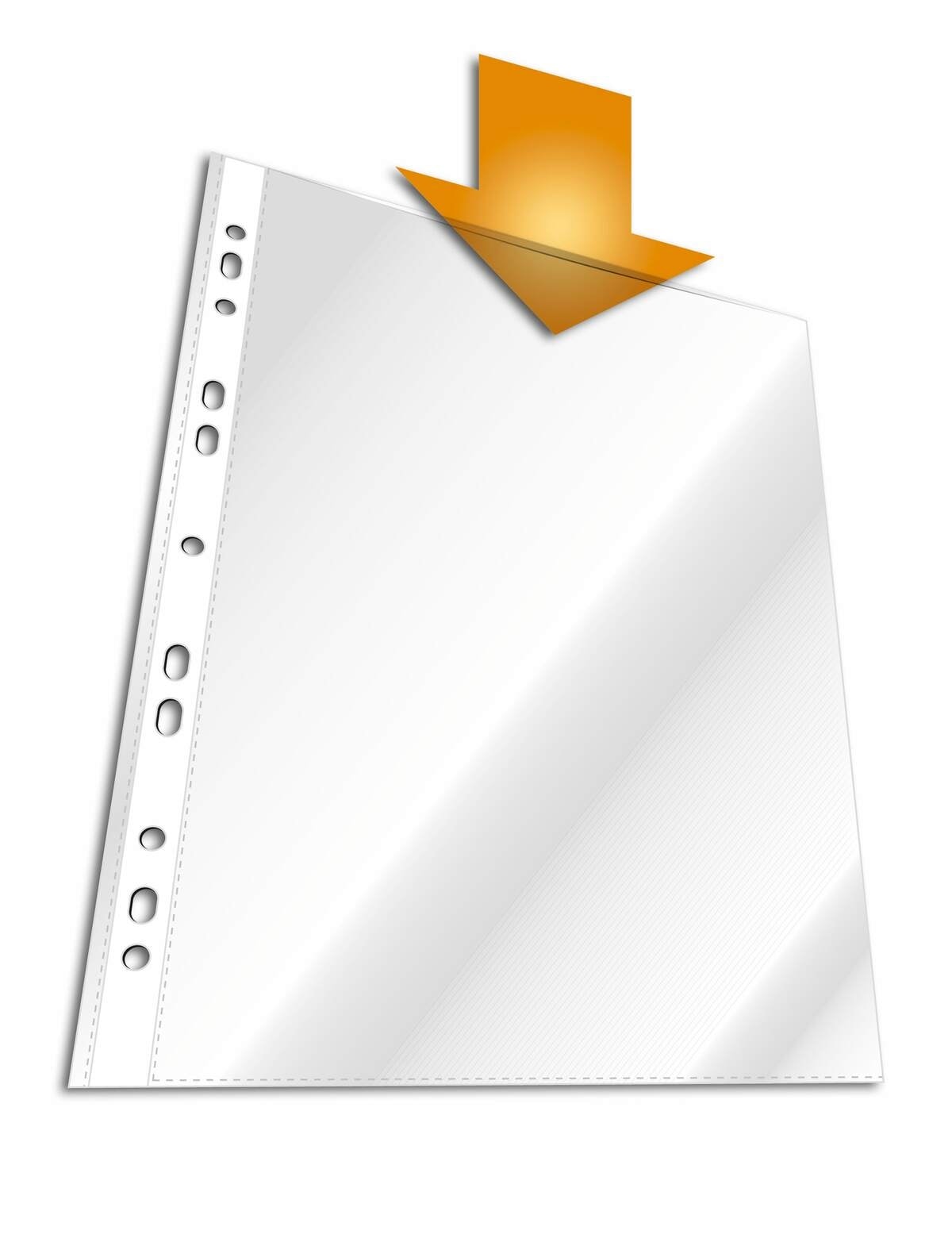 Folder Punched Durable A4 100/Pack Crystal Clear 2668-19